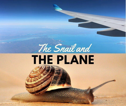 The Snail and The Plane - MyAdelline