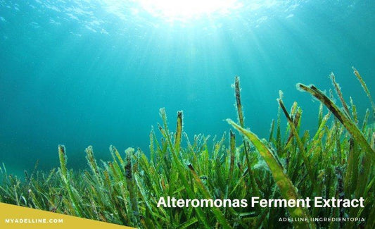 Alteromonas Ferment Extract as a Skincare Ingredient - MyAdelline