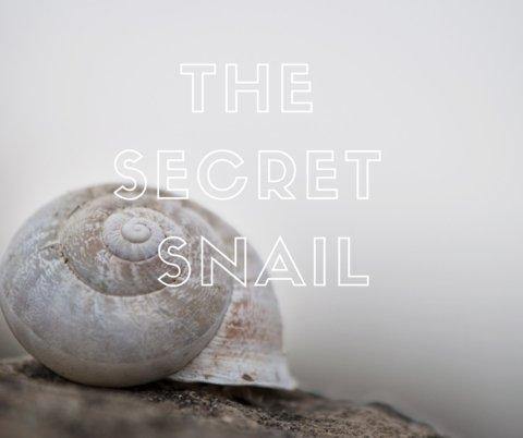 Snail Secretion Filtrate: a Secret Skincare Solution - MyAdelline